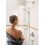 Душовий гарнітур HANSGROHE Raindance Classic 100 27843090