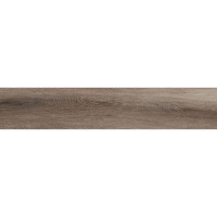 Керамограніт для підлоги ECOCERAMIC BORNEO ROBLE Mat 23х120