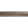 ECOCERAMIC BORNEO ROBLE 23х120