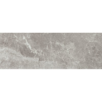 ECOCERAMIC LOUVRE GRIS 25х70