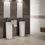 ECOCERAMIC PITT GRAFITO 25х70