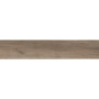 ECOCERAMIC BORNEO TAUPE 23х120