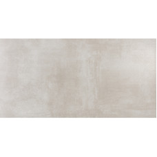 ECOCERAMIC BALTIMOR CENIZA 60х120