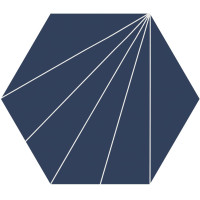 Ornamenta Electra Ray Neptune Hexagon D40 (EL40RN)