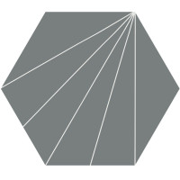 Ornamenta Electra Ray Mercury Hexagon D40 (EL40RM)