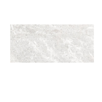 PERONDA ELITE CLOUD SP/33,3X100/R