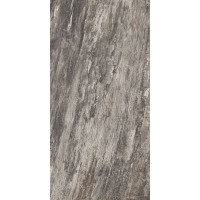 Emil ceramica PETRIFIED TREE GREY BARK 944D8R