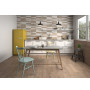 GEOTILES ENCODE RLV NOCE