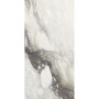 Rex Etoile De Rex Renoir 120х240 Ret Glo (761737)