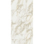 Rex Etoile Creme Glossy 60х120 Ret 10 мм (761681)