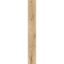 Atlas Concorde Exence Vanilla 18,5x150 (AOUH)