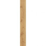 Atlas Concorde Exence Almond 18,5x150 (AL87)
