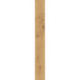 Atlas Concorde Exence Almond Saw Cut 18,5x150 (AOUL)