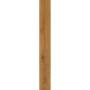 Atlas Concorde Exence Amber Saw Cut 18,5x150 (AOUM)