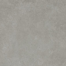 Fanal EVO GREY LAP.