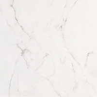 FAP ROMA STONE CARRARA DELICATO MATT RT 80х80 fRDG