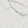 FAP ROMA GOLD CARRARA SUPERIORE BRILLANTE RT 120х120 (плитка для підлоги і стін) fPZW