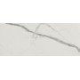 FAP ROMA GOLD CARRARA SUPERIORE BRILLANTE RT 50х120 (плитка настінна) fQCS