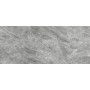 FAP ROMA DIAMOND GRIGIO SUP BRILLANTE RET 120х278 fOEQ (плитка для підлоги і стін)