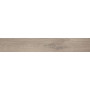 FAP ROOTS TAUPE MATT R9 RT 20х120 (плитка для підлоги і стін) fPV0