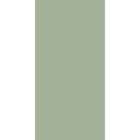Paradyz FEELINGS GREEN SCIANA REKT. 29,8X59,8 G1