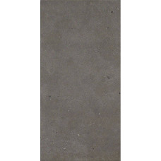 Fiandre FjordR11ABCDusty120х60(AP208X1164R11)
