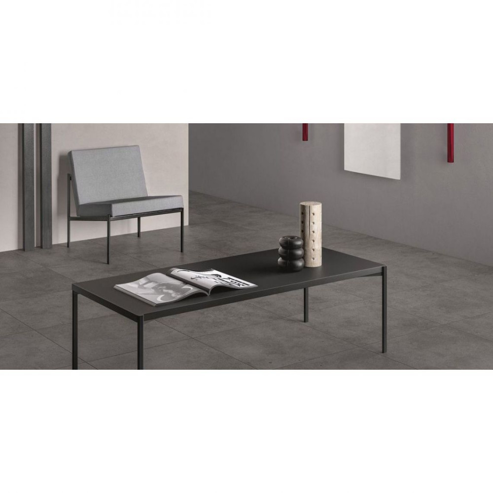Fiandre FjordR11ABCDusty120х60(AP208X1164R11)