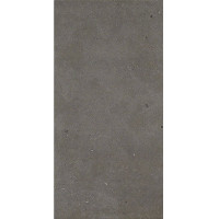 Fiandre FjordDustyFjordStr120х60(AP208X2064R11)