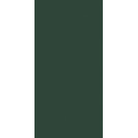FLORIM 767268 CRAYONS CERIM MOSS NAT 6MM 60X120R