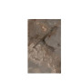 FLORIM GROUP 769924 REVES DE REX CHOCO GLO 6MM