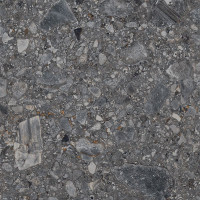 Ariana Futura Antracite Ret 60х120 9мм (PF60002951)
