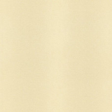 Шпалери Rasch AFRICAN QUEEN 422795 Шпалери Rasch AFRICAN QUEEN 422795
