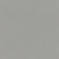 Обои Rasch Passepartout 607253