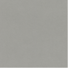 Обои Rasch Passepartout 607253