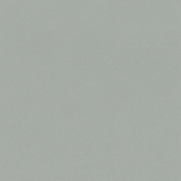 Обои Rasch Passepartout 607260