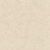 Обои Rasch Kimono 408133