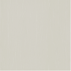 Обои Rasch Passepartout 605945