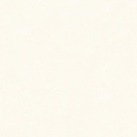 Шпалери A.S. Creation Pint Walls/X-Ray 34248-2