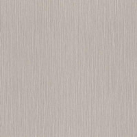 Обои Rasch Metal Spirit 977257