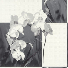Шпалери Rasch Tiles & More 825022 Шпалери Rasch Tiles & More 825022