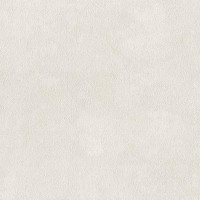 Обои A.S. Creation Grand Aura 79254-5