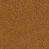 Шпалери Rasch AFRICAN QUEEN 422337
