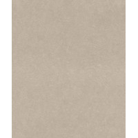 Обои Rasch Barbara Becker 6 860108