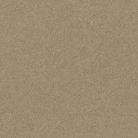 Обои Rasch Factory Style 947434