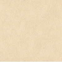Шпалери Rasch AFRICAN QUEEN 422368