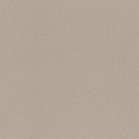 Обои Rasch Vitrage 975567
