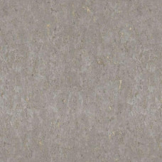 Обои Rasch Metal Spirit 977424