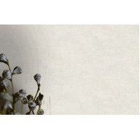 AS-Creation Garda 38728-3