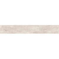 GARDENIA ORCHIDEA 263002 ETERNO WHITE