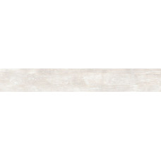 GARDENIA ORCHIDEA 263003 ETERNO ICE